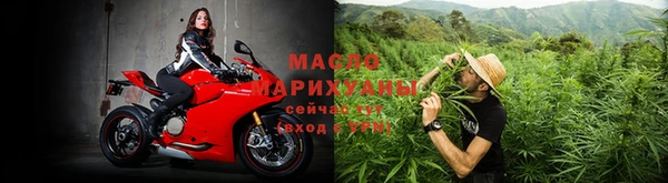 винт Каменка