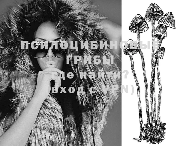 Альфа ПВП Карпинск